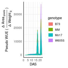 Plot of water use efficiency by genotype